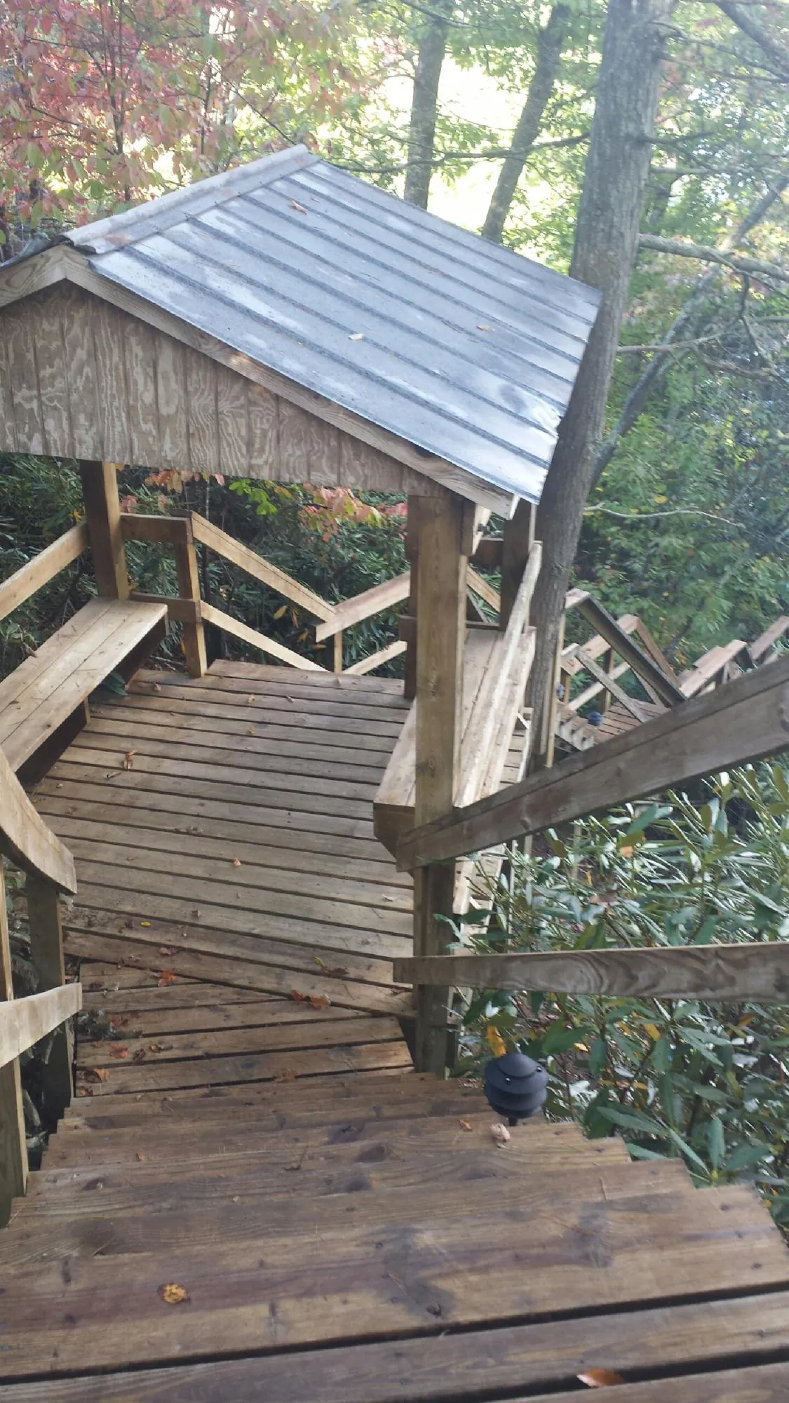 Metal roofed shelter over wooden steps on a wooded walkway — Skylight Repair & Installation work by our crew in Bremerton