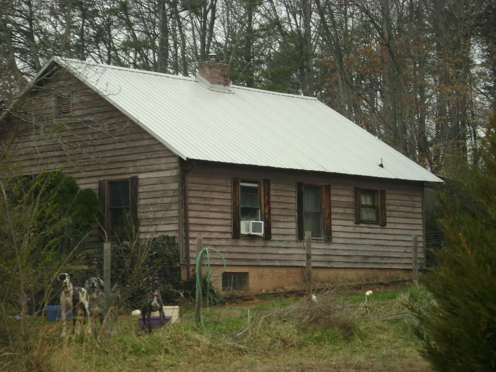 White metal roof on an old wood sided farmhouse, from a Metal Roof Installation job in Bremerton
